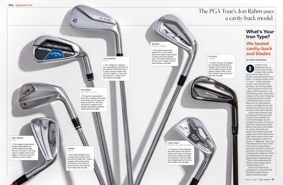 What’s Your Iron Type?