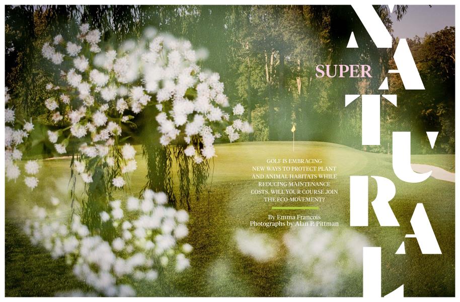 Super Natural