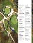 Page: - 11 | Golf Digest