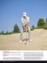 Page: - 94 | Golf Digest