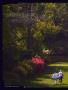 Page: - 48 | Golf Digest