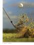 Page: - 30 | Golf Digest