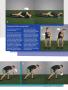 Page: - 103 | Golf Digest